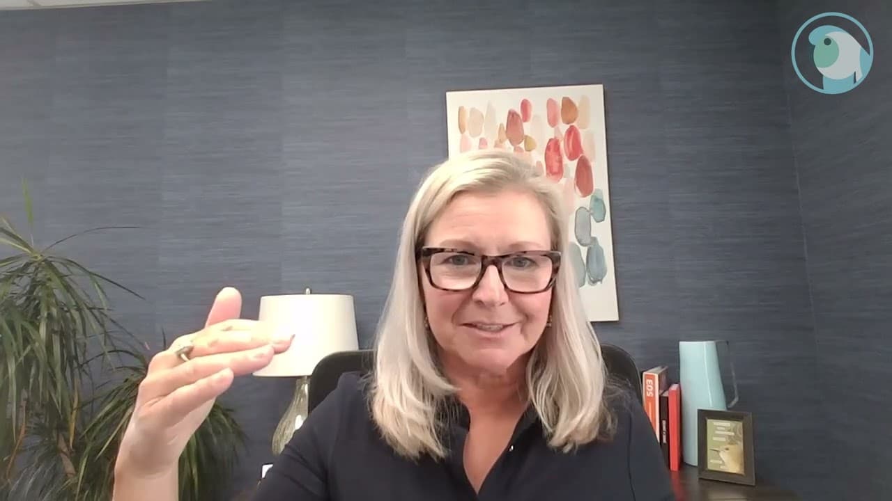 1 Bold Step × Parakeeto