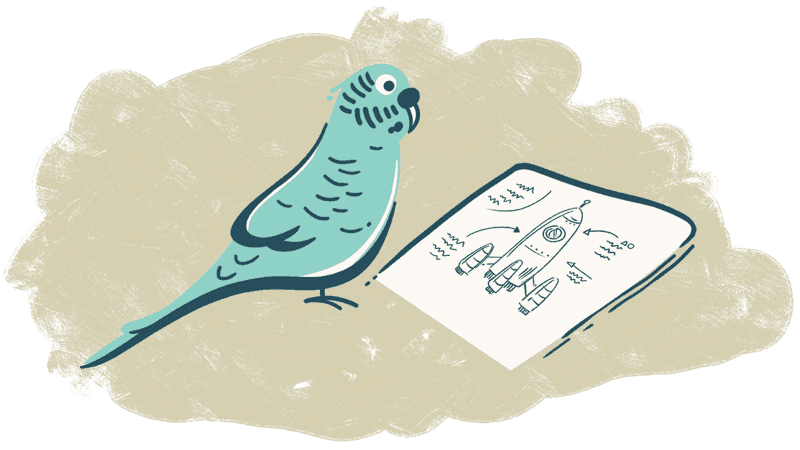 Parakeeto bird